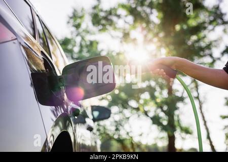 Weibliche Hand, die ein Kabelladegerät in ein Elektroauto steckt, beleuchtet von den Sonnenstrahlen, die durch die Zweige des grünen Baumes brechen, Nahaufnahme Stockfoto