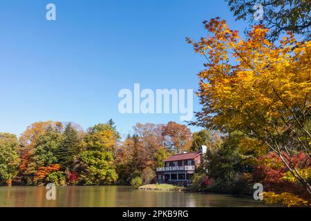 Japan, Honshu, Präfektur Nagano, Karuizawa, Shiozawa-See, Herbstblätter Stockfoto