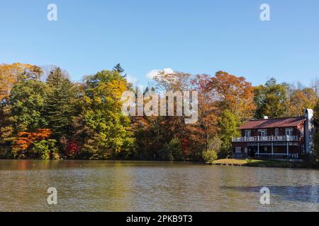 Japan, Honshu, Präfektur Nagano, Karuizawa, Shiozawa-See, Herbstblätter Stockfoto