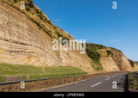 Japan, Honshu, Izu-Oshima Island, Road and Stratum Section of Cliffs Stockfoto