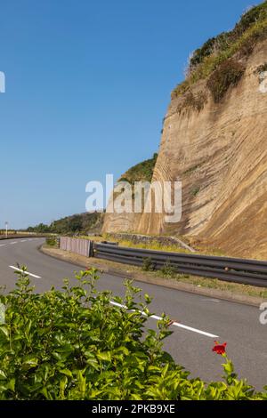 Japan, Honshu, Izu-Oshima Island, Road and Stratum Section of Cliffs Stockfoto