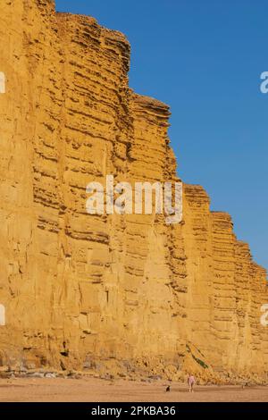 England, Dorset, Bridport, West Bay, Beach und Cliffs Stockfoto