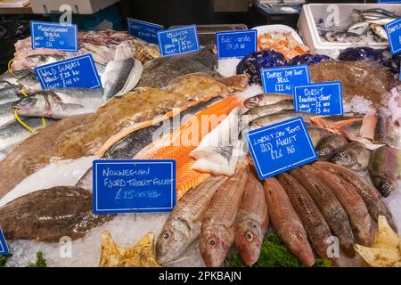 England, London, Southwark, Borough Market, Display of Fish Stockfoto