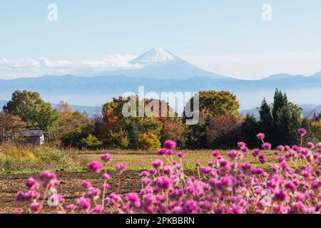 Japan, Honshu, Präfektur Yamanashi, Kobuchizawa, Fernblick auf den Fuji Stockfoto