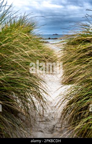 Strand Und Dünen Von Sainte Marguerite An Der Finistere Atlantikküste In Der Bretagne, Frankreich Stockfoto