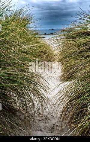 Strand Und Dünen Von Sainte Marguerite An Der Finistere Atlantikküste In Der Bretagne, Frankreich Stockfoto