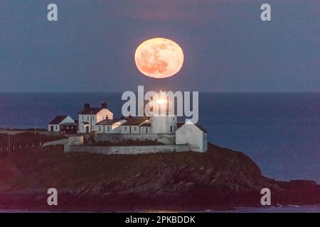 Roches Point, Cork, Irland. 06. April 2023. Hinter dem Leuchtturm von Roches Point, Co., erhebt sich ein rosa Mond Cork, Irland. David Creedon/Alamy Live News Stockfoto