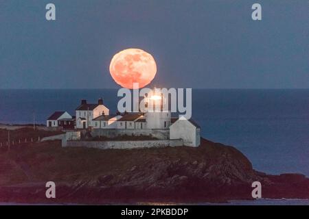 Roches Point, Cork, Irland. 06. April 2023. Hinter dem Leuchtturm von Roches Point, Co., erhebt sich ein rosa Mond Cork, Irland. David Creedon/Alamy Live News Stockfoto