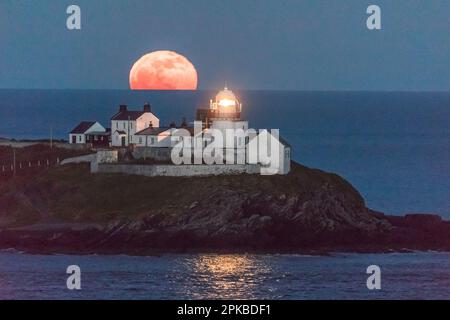 Roches Point, Cork, Irland. 06. April 2023. Hinter dem Leuchtturm von Roches Point, Co., erhebt sich ein rosa Mond Cork, Irland. David Creedon/Alamy Live News Stockfoto