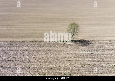 Dürrezeit in Italien, Drohnenblick auf Trockenfelder Stockfoto