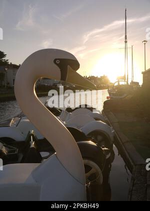 Vertikale Aufnahme des Sonnenuntergangs hinter einem weißen Schwanenpedalo auf dem Bude Canal, Bude, Cornwall, Großbritannien Stockfoto