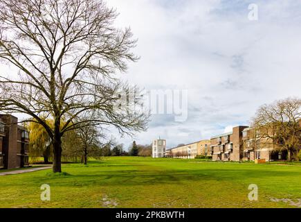 Außenansicht des Moller Institute auf dem Gelände des Churchill College, Teil der University of Cambridge, Ostengland Stockfoto