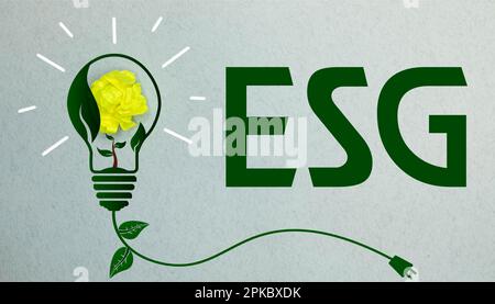 ESG - Environmental Social Governance - eine Abkürzung von Holzblöcken mit Buchstaben auf grauem Hintergrund. Reflexion des Titels auf dem gespiegelten Stockfoto