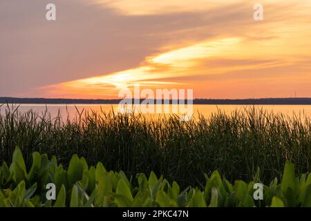 Wunderschöner Sonnenuntergang über dem See mit etwas Grün vor dem Horizont Stockfoto