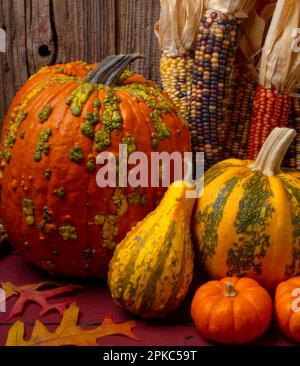 Erinnerungen An Das Stillleben Im Herbst Stockfoto