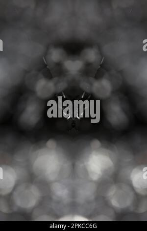Aluminium Blattwerk Lichteffekte Design Feuershow Party festliche Dekorationen abstrakt verschwommener Hintergrund leuchtende Textur glänzendes Muster große, moderne Größe Stockfoto