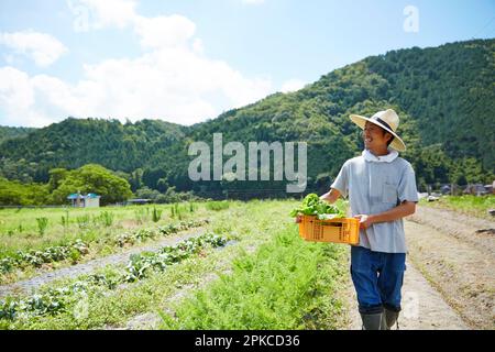 Ein Mann, der mit einem Korb voller Gemüse spaziert Stockfoto