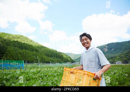 Ein Mann mit einem Korb gefüllt mit Gemüse auf einem Feld Stockfoto