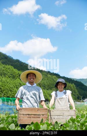 Mann und Frau halten Holzkisten auf einem Feld Stockfoto