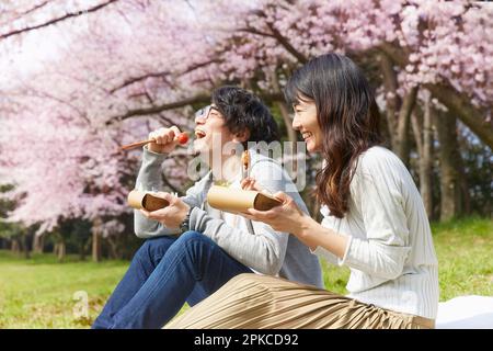 Ein Paar isst Bento unter einem Kirschbaum Stockfoto