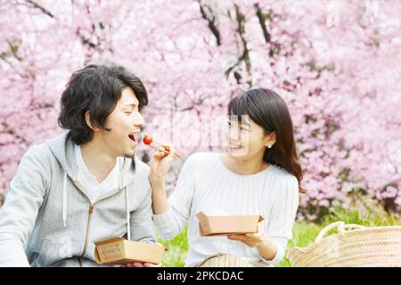 Ein Paar isst Bento unter dem Kirschbaum Stockfoto