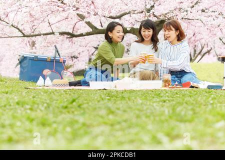 3 Frauen, die Kirschblüten sehen Stockfoto