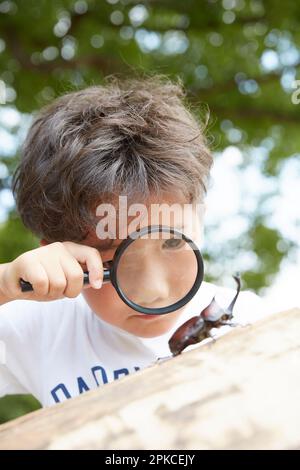 Ein Junge, der Käfer mit einer Lupe beobachtet Stockfoto