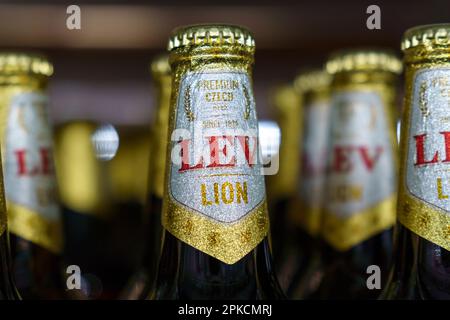 Tyumen, Russland-25. Februar 2023: Leichtes Bier in der tschechischen Brauerei Mestansky pivovar im Lew-Stil Stockfoto