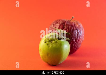 Fauler Apfel auf einer farbigen Nahaufnahme Stockfoto