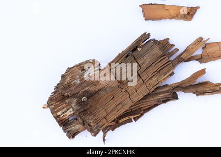 Ein Stück altes Holz auf einem isolierten weißen Hintergrund Stockfoto