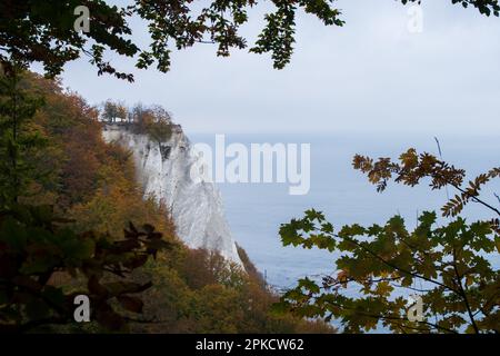 Eingerahmt von bunten Herbstblättern öffnet sich der Blick auf den majestätischen Königsstuhl auf der Insel Rügen. Die legendären weißen Kreidefelsen Stockfoto