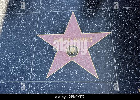 Allgemeiner Blick auf den Hollywood Stars Walk of Fame, Hollywood Boulevard, Los Angeles, Kalifornien, USA. Stockfoto