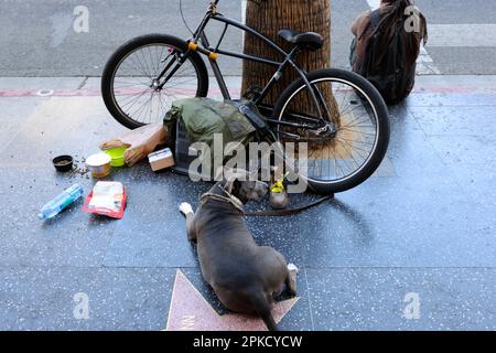 Allgemeiner Blick auf den Hollywood Stars Walk of Fame, Hollywood Boulevard, Los Angeles, Kalifornien, USA. Stockfoto