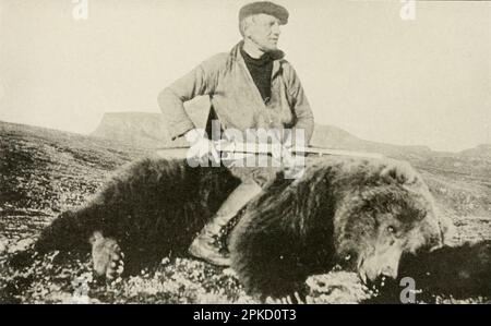 Ein Kodiakbär oder Kodiakbraunbär (Ursus arctos middendorffi) aus dem Buch " Alaska, Our beautiful northland of Opportunity " von Agnes Rush Burr, Eine Beschreibung der Flüsse, Berge, Gletscher, Vulkane, Und andere schöne und ungewöhnliche Landschaften und der Seltenen Freuden Es bietet Reisenden, Großwildjägern, Bergsteigern, Entdeckern, Städten und Pioniersiedlungen, die Government Railroad und den Mount McKinley National Park, seine reichen Ressourcen, seine Öffnungen für neue Unternehmen; Ihre Indianer, ihre primitiven Bräuche und ihre gegenwärtige Entwicklung; ihr romantischer Frühhistor Stockfoto