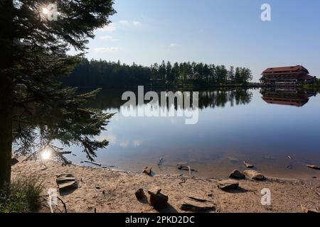 Hornisgrinde, Deutschland - 11. August 2021: See (Mummelsee) im nördlichen Schwarzwald. Ruhiges Wasser, in dem sich Bäume spiegeln. Sand und Steine in dem Stockfoto