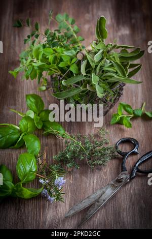 Verschiedene frische Kräuter mit alter Gartenschere auf Holzhintergrund Stockfoto