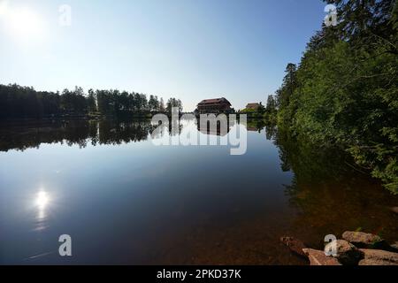 Hornisgrinde, Deutschland - 11. August 2021: See (Mummelsee) im nördlichen Schwarzwald. Ruhiges Wasser, in dem sich Bäume spiegeln. Hotel für Übernachtungen Stockfoto