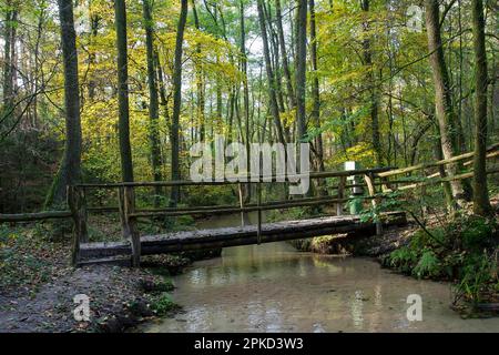 Furlbach mit Brücke, NSG Furlbachtal, Senne, Nordrhein-Westfalen, Deutschland Stockfoto