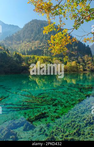 Farbenfroher See, Jiuzhaigou-Nationalpark, Provinz Sichuan, China, Unesco-Weltkulturerbe Stockfoto