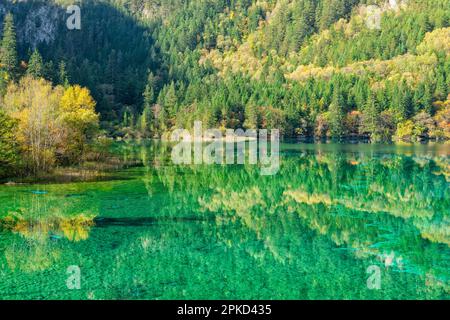 Farbenfroher See, Jiuzhaigou-Nationalpark, Provinz Sichuan, China, Unesco-Weltkulturerbe Stockfoto