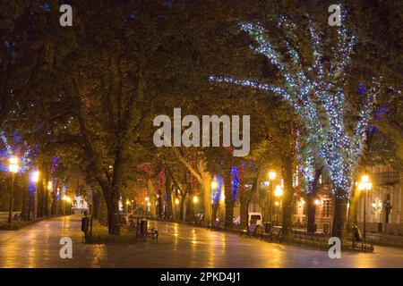 Primorsky Boulevard, Boulevard at the Potemkin Steps, Odessa, Ukraine Stockfoto