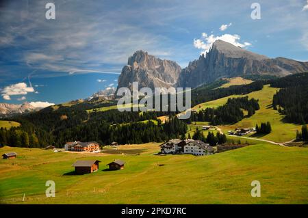 Hochalm, Alpenweide, Sommer, Dolomiten, Südtirol, Alpe di Siusi, Sassolungo, Plattkofel, UNESCO-Weltkulturerbe Stockfoto