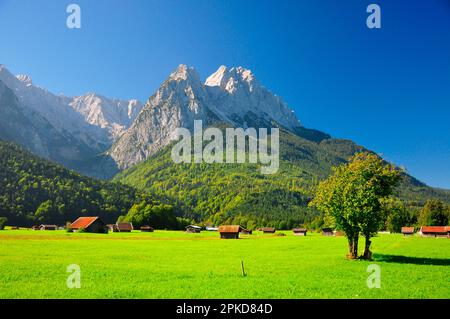 Sommer, Zugspitzgruppe, Waxensteine, Bayern, Garmisch-Partenkirchen, Deutschland Stockfoto