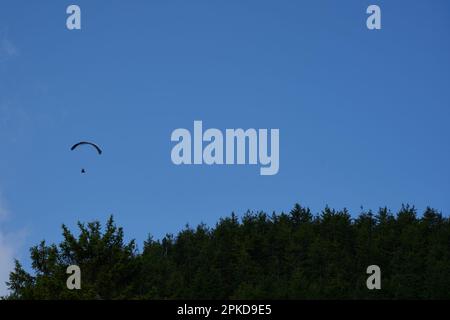 Deutschland, Hornisgrinde - 11. August 2021: 1 Paraglider vor dem blauen Himmel über dem nördlichen Schwarzwald. Speicherplatz kopieren. Stockfoto