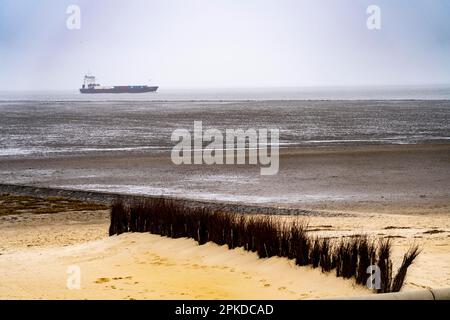 Dichter Nebel im Winter, hängt über der Mündung der Elbe in die Nordsee, Frachtschiff gelangt in die Unterelbe, Cuxhaven, Niedersachsen, Deutschland, Stockfoto