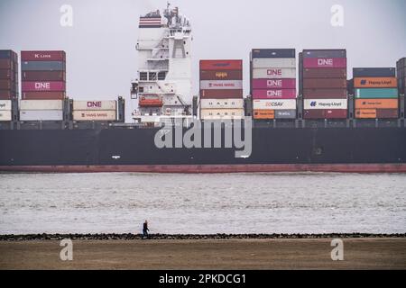 Dichter Nebel im Winter, über der Mündung der Elbe in die Nordsee, Containerschiff NYK Venus, Einfahrt in die Unterelbe, Cuxhaven, Niedersachsen, Stockfoto