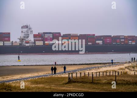 Dichter Nebel im Winter, über der Mündung der Elbe in die Nordsee, Containerschiff NYK Venus, Einfahrt in die Unterelbe, Cuxhaven, Niedersachsen, Stockfoto