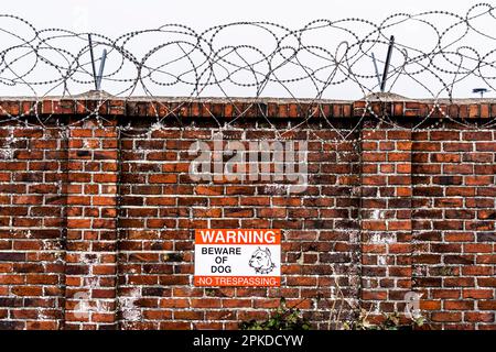 Firmengelände, Wand mit Stacheldrahtrollen gesichert, Schild mit Hinweis auf Wachhund auf dem Gelände. Stockfoto