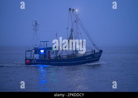 Dicker Nebel im Winter, hängt über der Mündung der Elbe in die Nordsee, Fischerboot, Krabbenschneider, SAPHIR, CUX14, Sie betreten den Hafen von Cuxhaven in Stockfoto