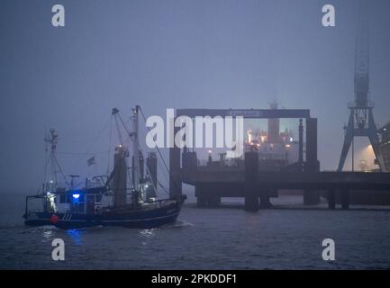 Dicker Nebel im Winter, hängt über der Mündung der Elbe in die Nordsee, Fischerboot, Krabbenschneider, SAPHIR, CUX14, Sie betreten den Hafen von Cuxhaven in Stockfoto